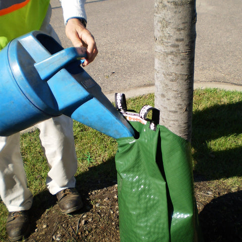 Watering Bag (Single Stem)
